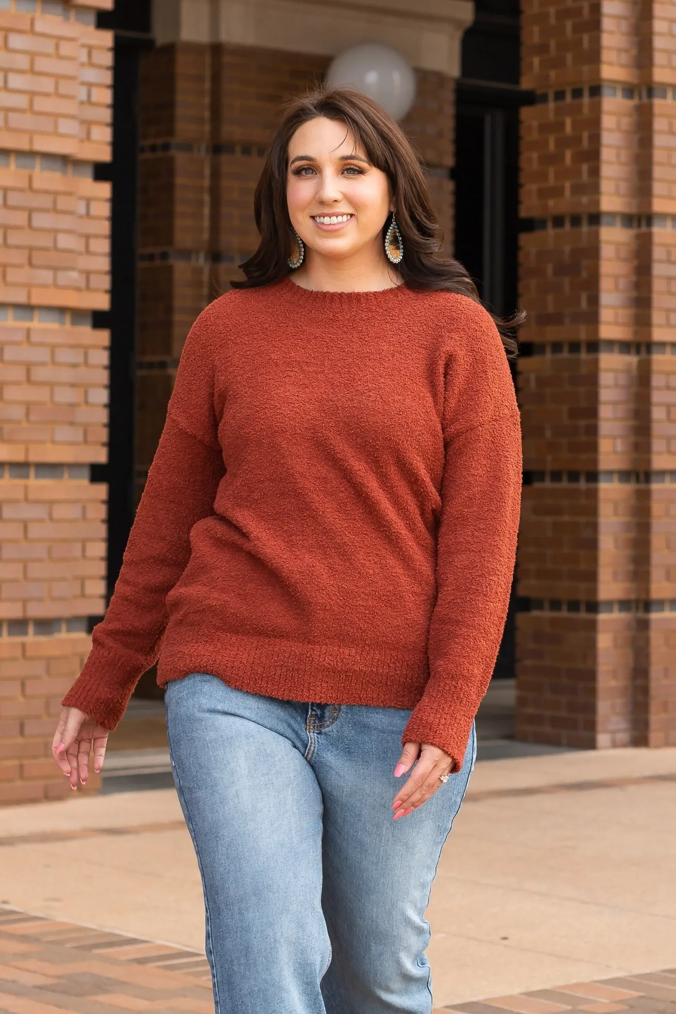 In With The New Rust Faux Mohair Sweater